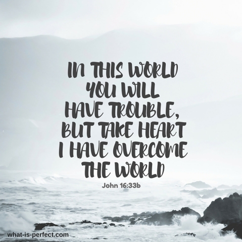 In this world you will have trouble, but take heartI have overcome the world